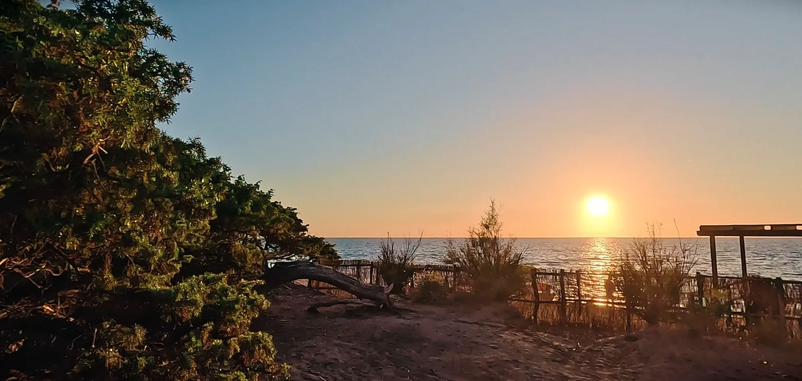 Sonnenuntergang am Meer hinter einer Düne mit windschiefem Baum