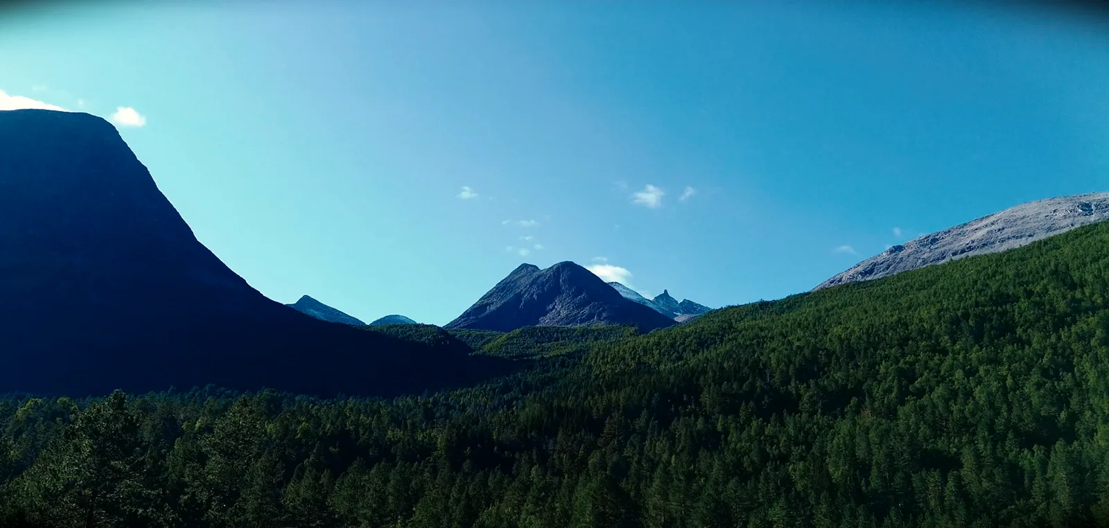 Dunkle Bergflanke links, sonniger Nadelwald rechts, dazwischen ferne Gipfel vor türkisblauem Himmel