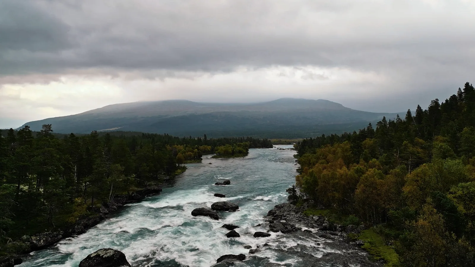 Breiter Fluss mit Stromschnellen zwischen herbstlichen Wäldern, dahinter ein flacher Berg unter grauem Himmel